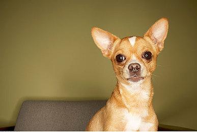 Epic计划：明年降低虚幻引擎抽成